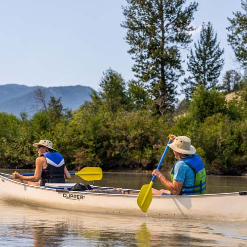 Explore the Wetlands or Lake Windermere from your canoe