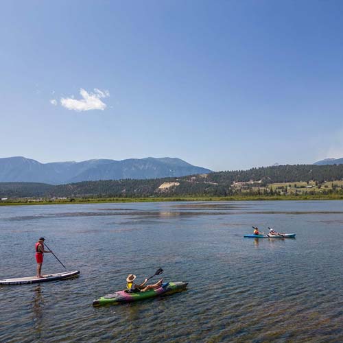 Explore the Wetlands or Lake Windermere from your canoe